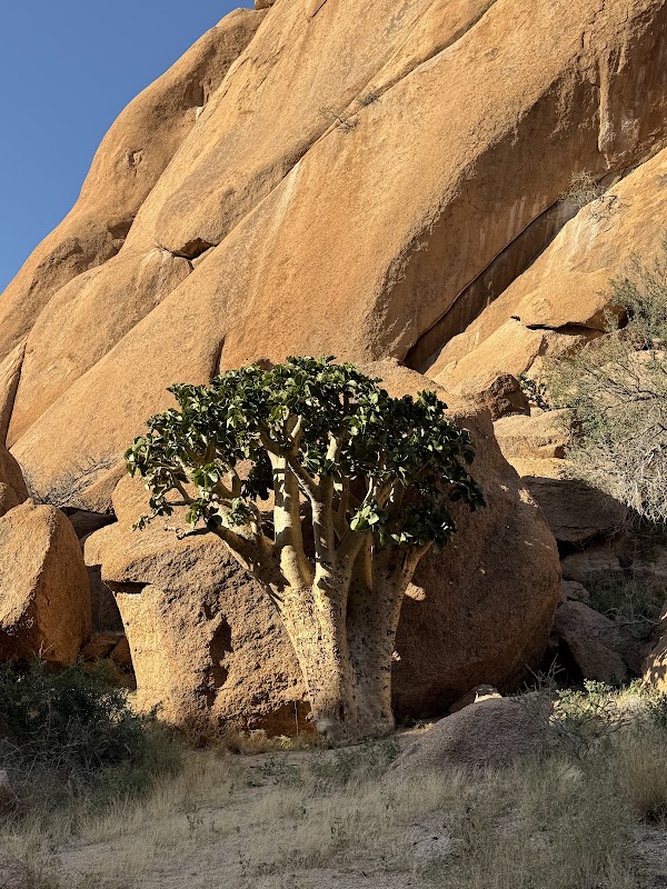 Rock Pool Spitzkoppe 2