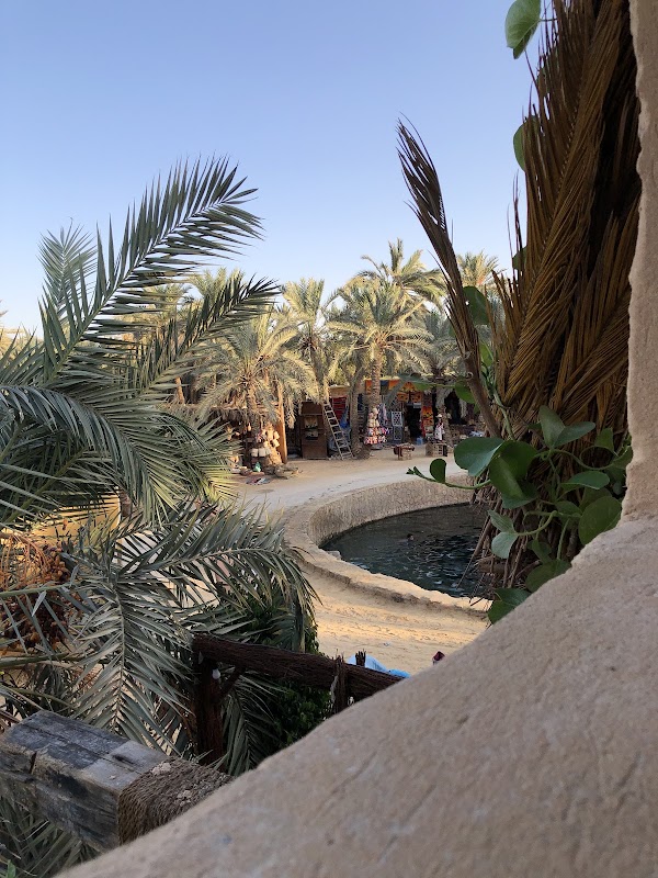 Cleopatra Spring 3