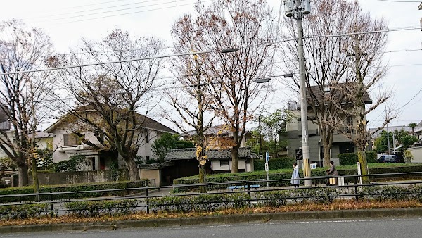 Shimogamo Jinja-mae (Shimogamo-jinja Shrine) 5