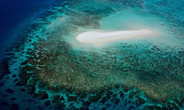 Sudbury Reef