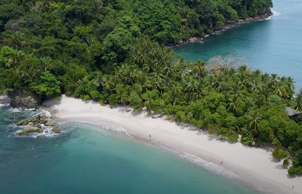 Manuel Antonio Beach 5