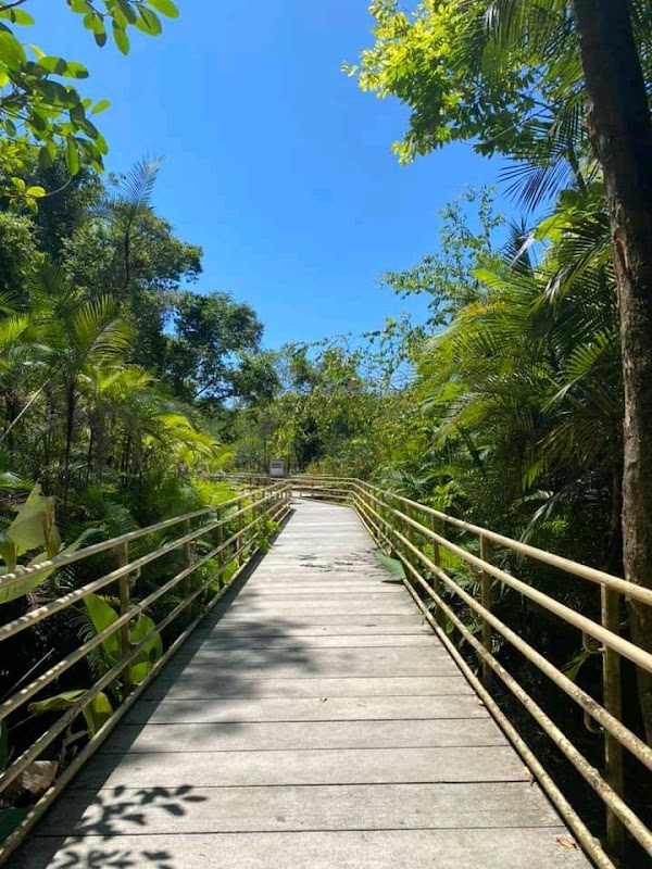 Manuel Antonio Beach 2