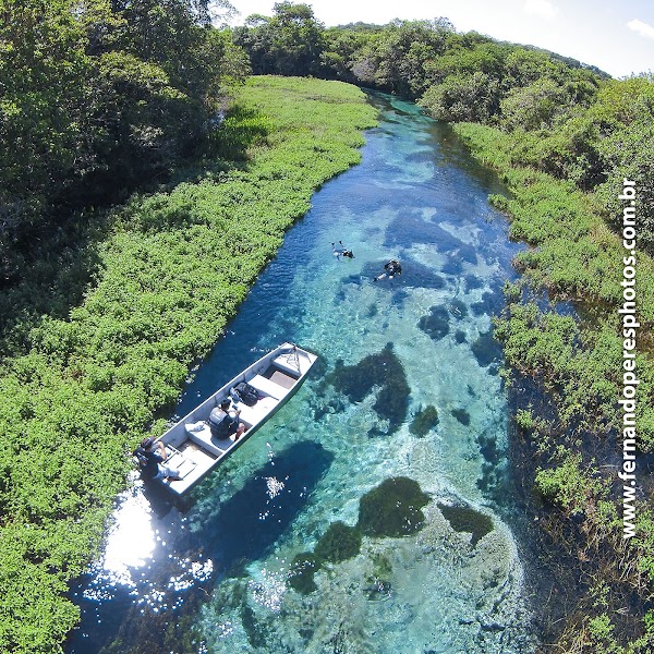 Sucuri River Bonito Ecotourism 1