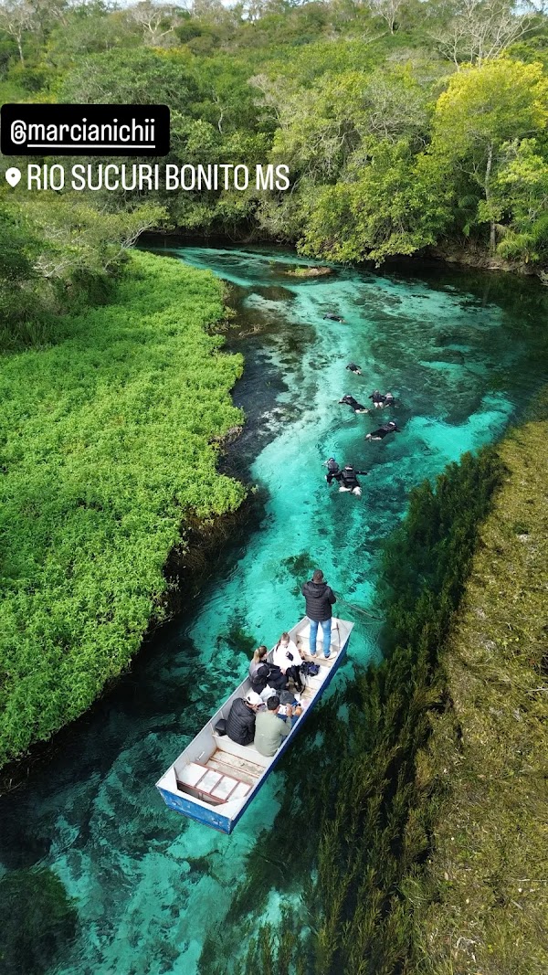 Sucuri River Bonito Ecotourism 5