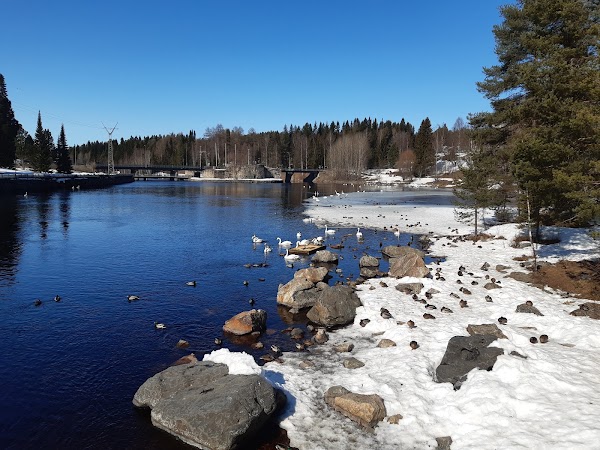 Rantapuisto