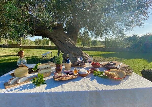 Agriturismo Baccu Cardu 4