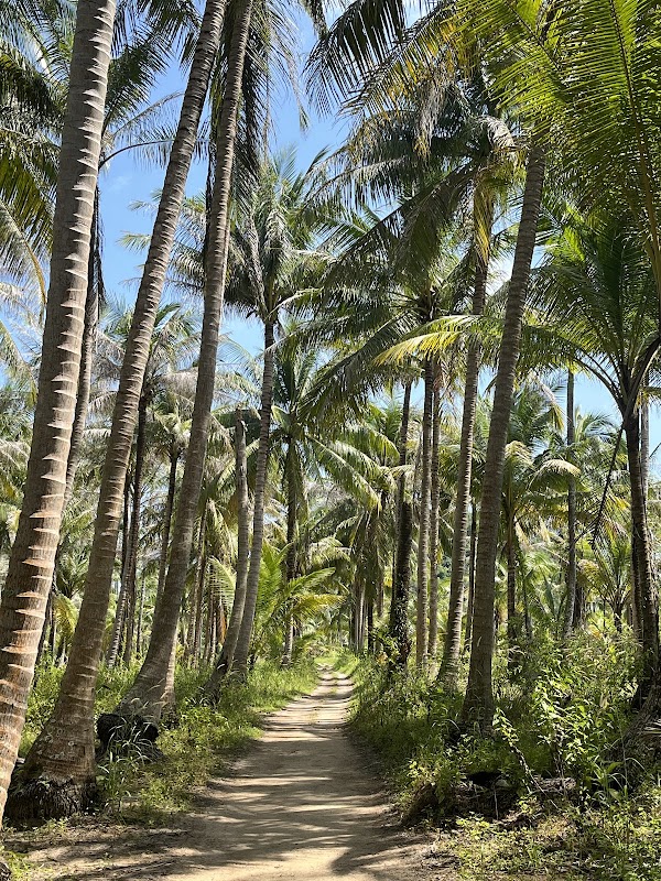 Ko Rang Yai 5