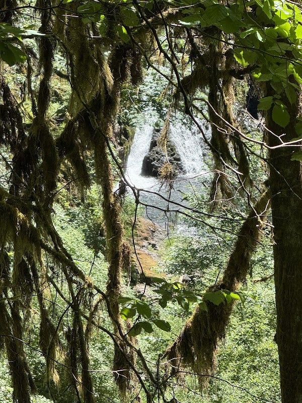 Twin Falls 1