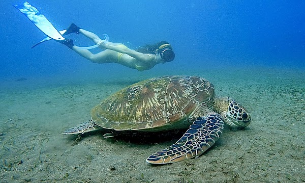 Lipah Beach 3