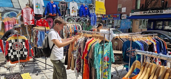 Ludlow Flea 2