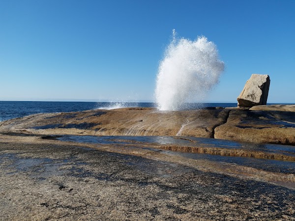 Bicheno Blowhole