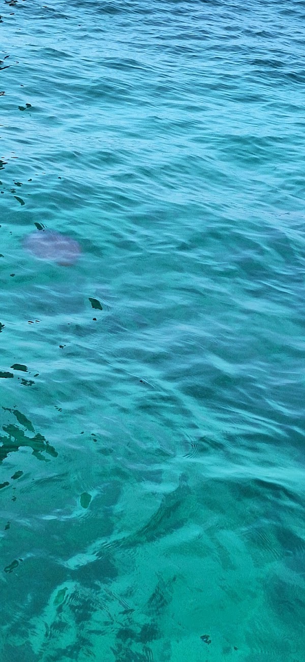 Koh​ Haa (Five Island)​ 3