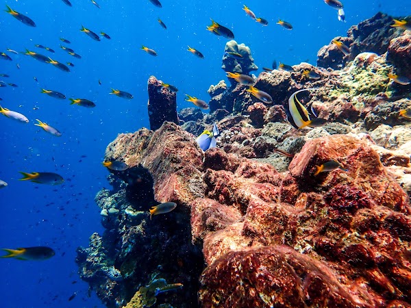 Koh​ Haa (Five Island)​ 2