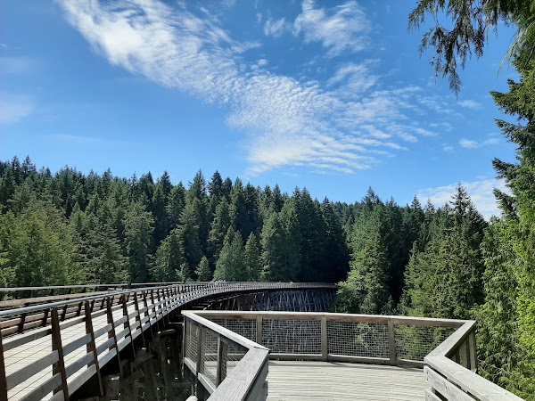 Kinsol Trestle 4