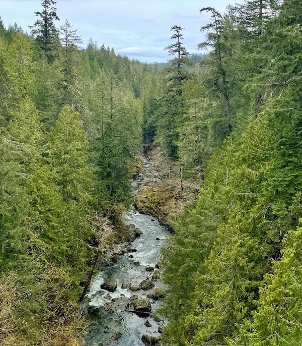 Kinsol Trestle 2