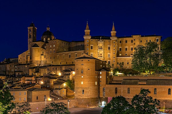 Palazzo Ducale di Urbino 5