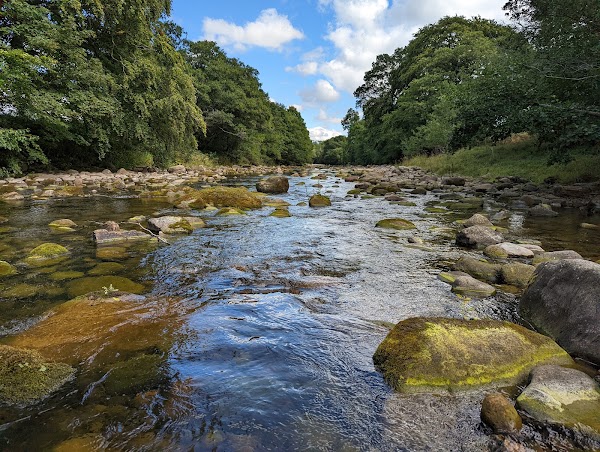 National Trust - Allen Banks and Staward Gorge