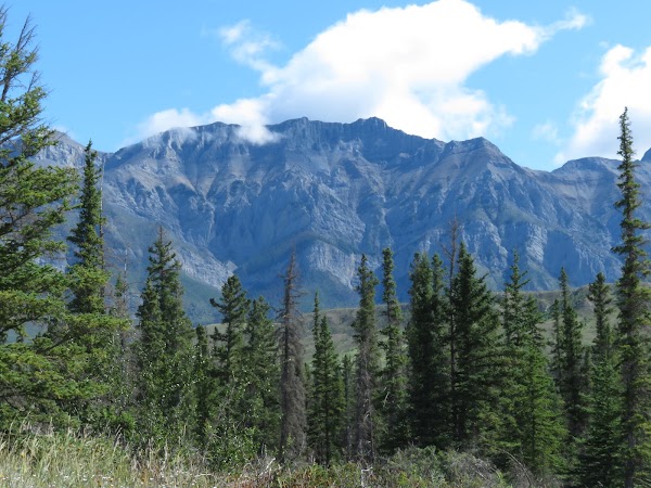 Jasper Lake Sand Dunes 2
