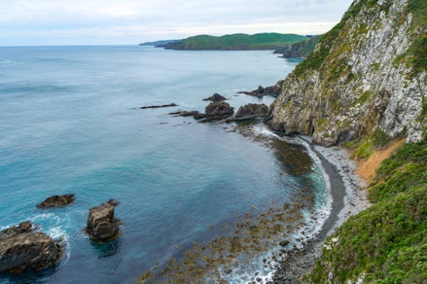 Taumata­whakatangihanga­koauau­o­tamatea­turi­pukaka­piki­maunga­horo­nuku­pokai­whenua­ki­tana­tahu 3
