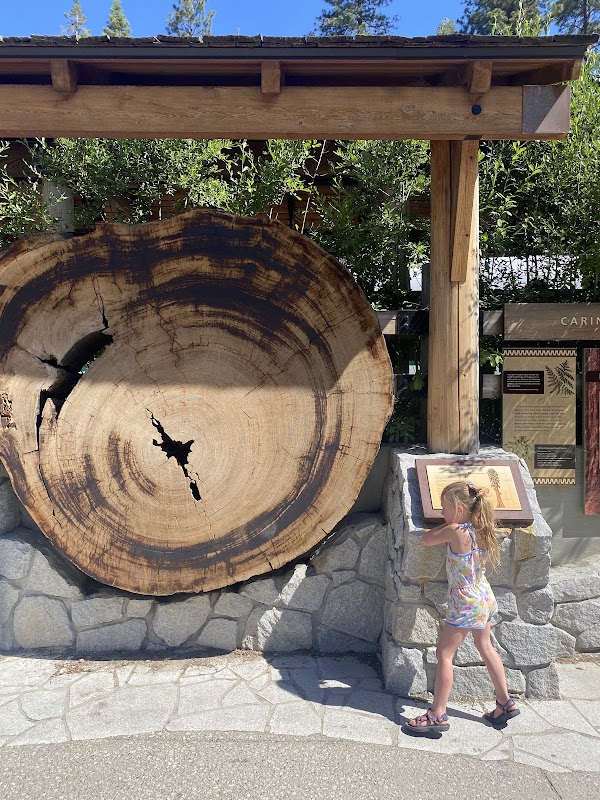 Bachelor and Three Graces 2