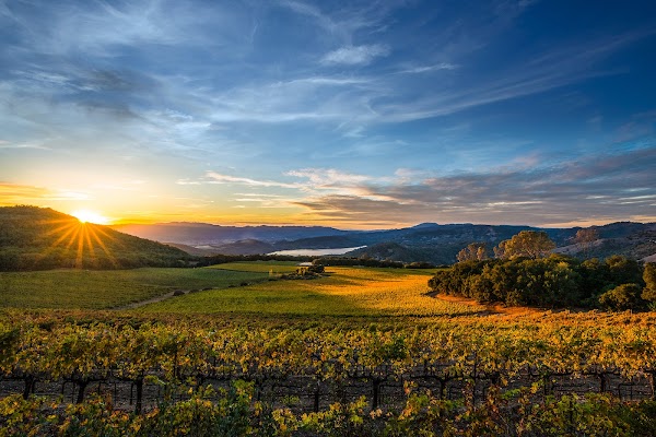 Chappellet Winery