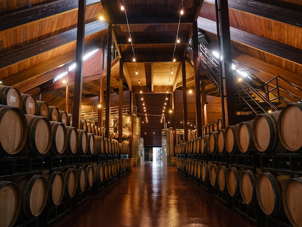 Chappellet Winery 5