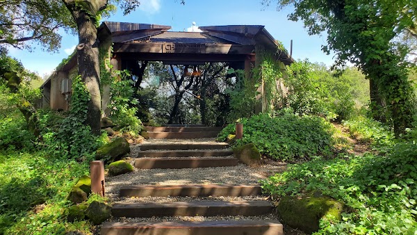 Chappellet Winery 3