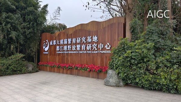 Chengdu Panda Breeding Research Center Dujiangyan Breeding Yefang Research Center