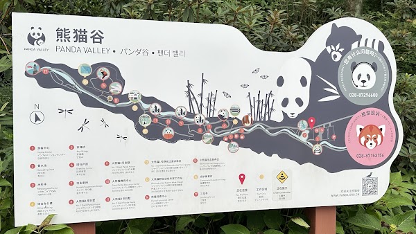 Chengdu Panda Breeding Research Center Dujiangyan Breeding Yefang Research Center 4
