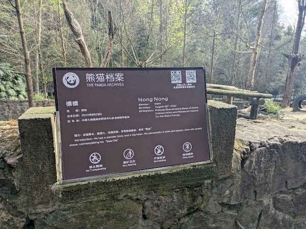 Chengdu Panda Breeding Research Center Dujiangyan Breeding Yefang Research Center 2