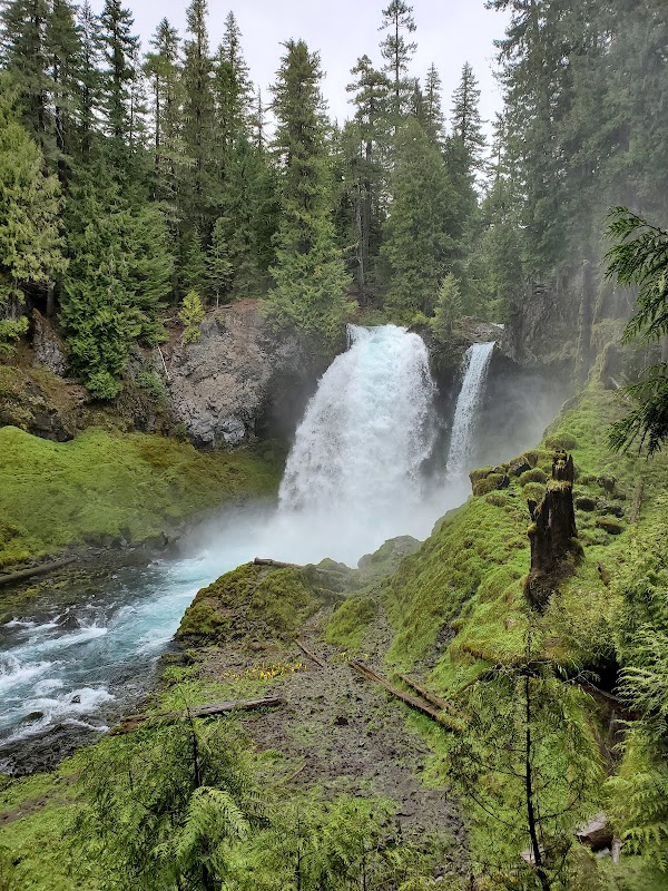 Sahalie Falls Viewpoint