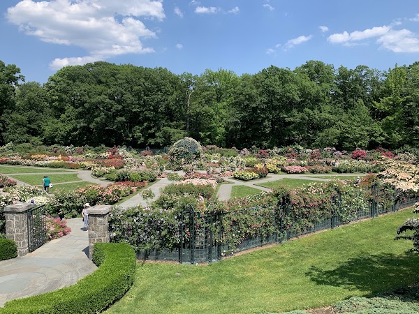 Peggy Rockefeller Rose Garden, NYBG