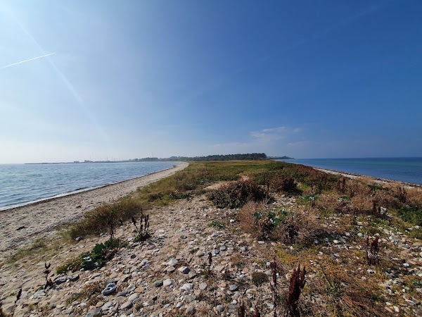 Tunø
