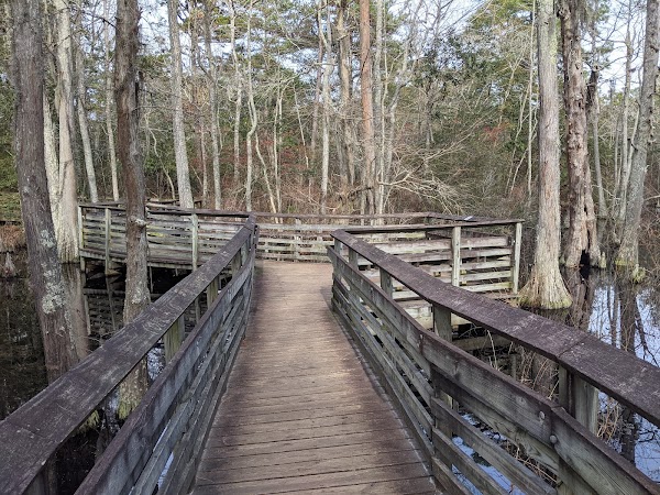 First Landing State Park