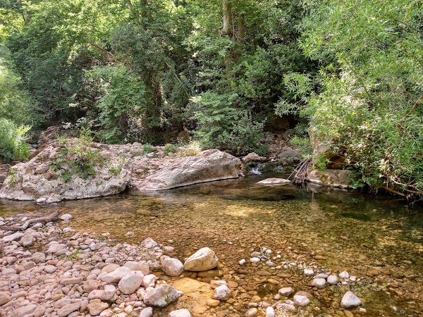 Israel 13