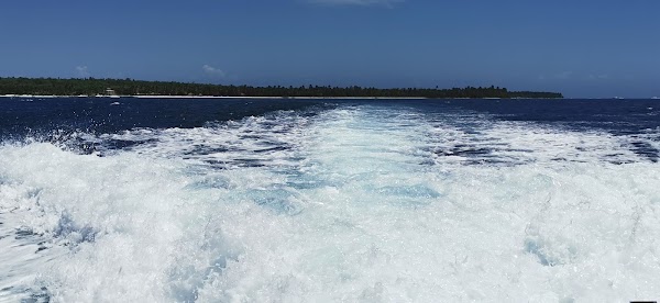 Saona Island 5