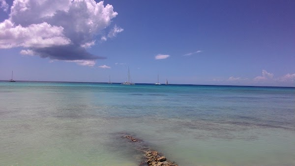 Saona Island 3
