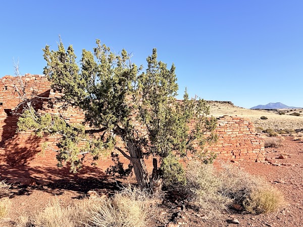 Lomaki Pueblo 3