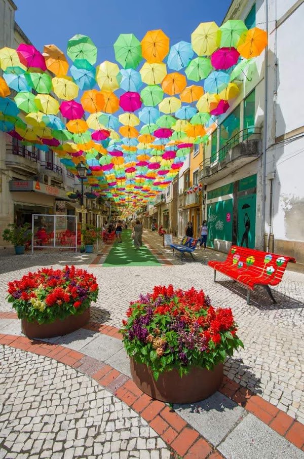 Umbrella Sky Project 5