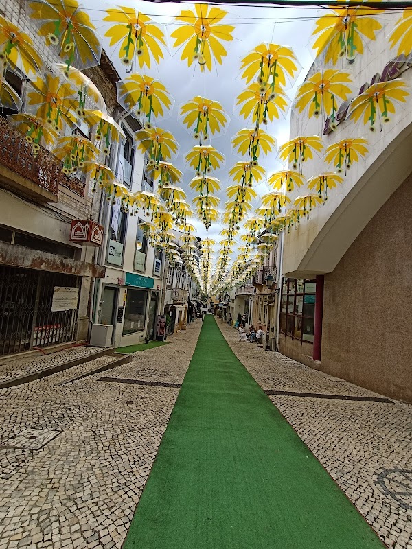 Umbrella Sky Project 4