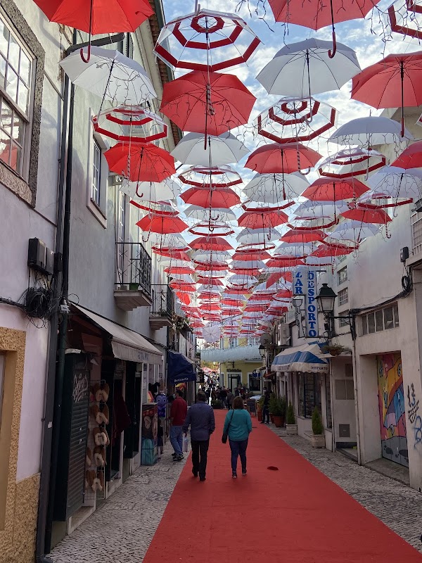 Umbrella Sky Project 3