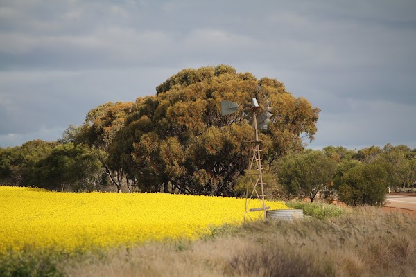 Wongan Hills