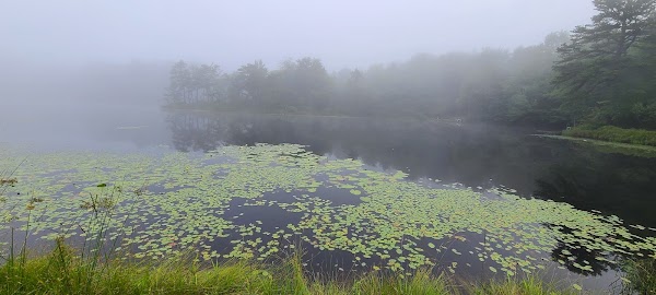 Emerald Lakes Main Beach 4