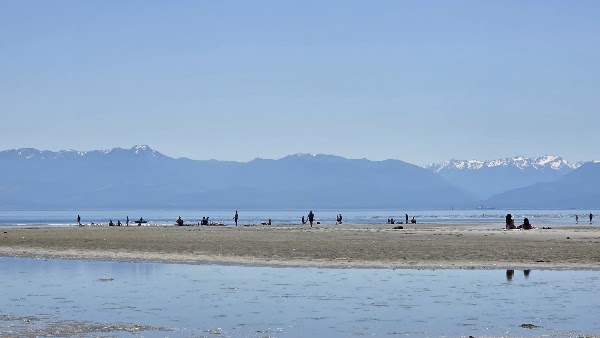 wittys lagoon 1