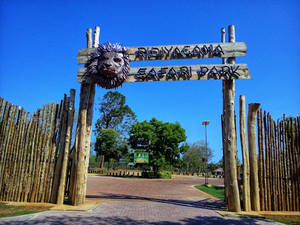 Ridiyagama Safari Park