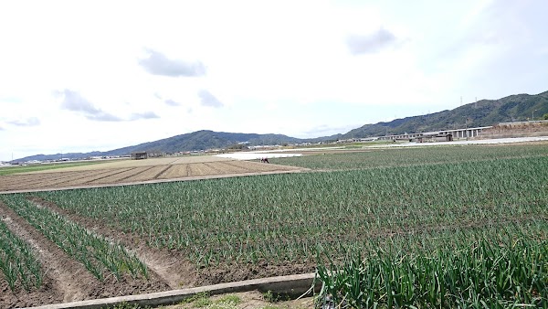 Awajishima Hamada Farm