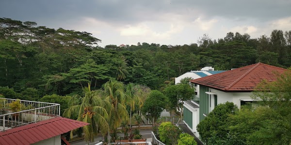 The Original Singapore Walks