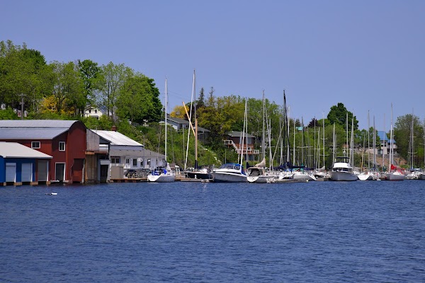 Picton 1