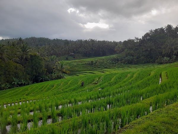 Sing Sing Angin Waterfall 5