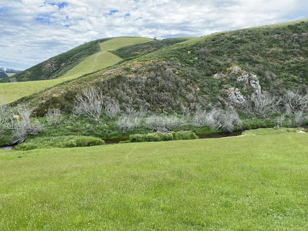 Clutha River / Mata-Au 2